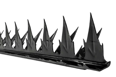 Punta Tiburón v2
